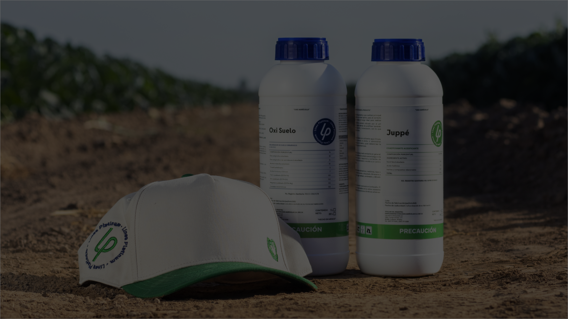 Slider Linea Platinum