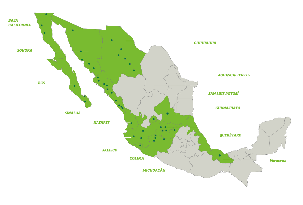 Tus productos posicionados en territorio estratégico