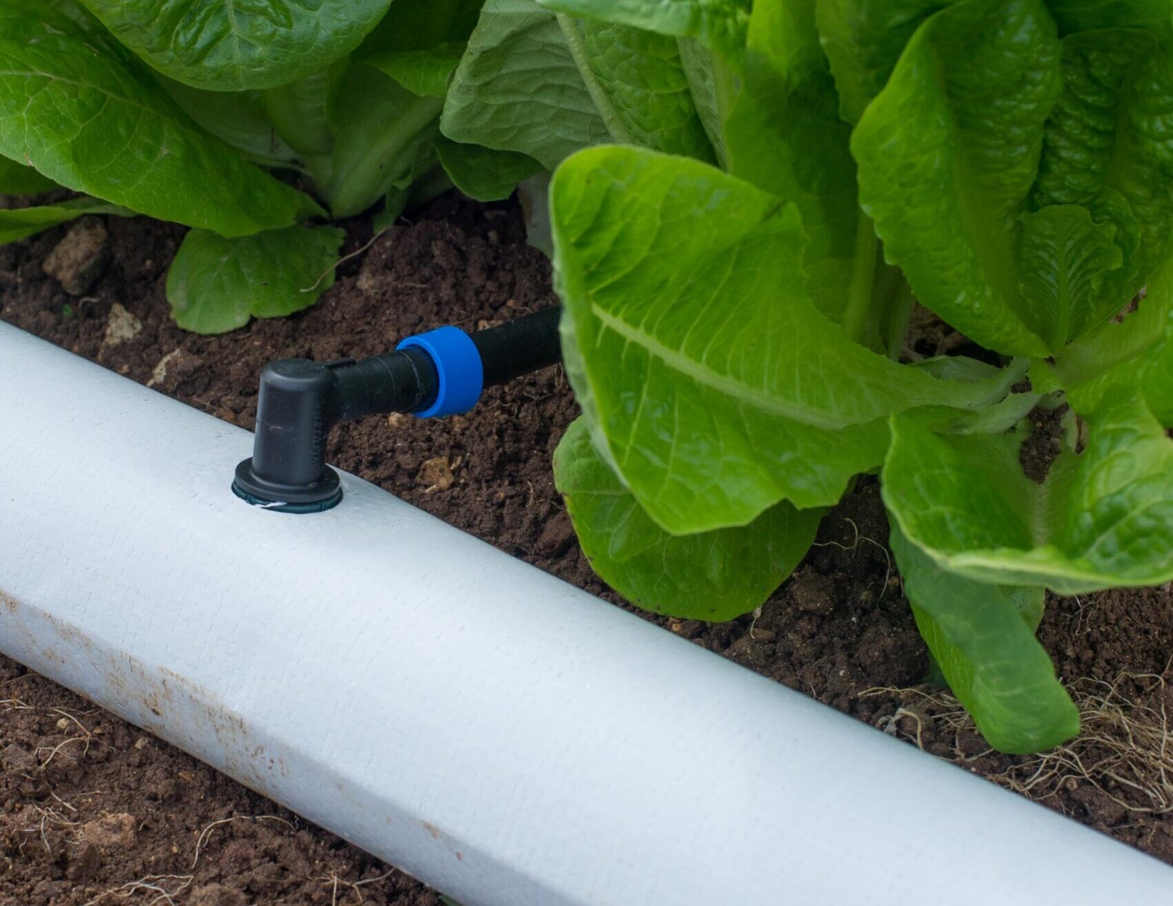 Riega con mayor precisión