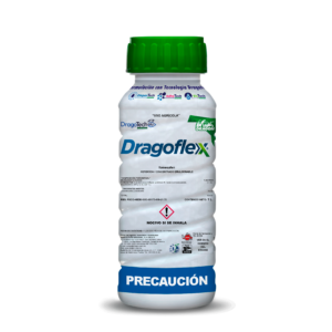 Dragoflex