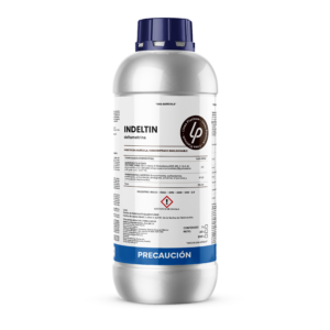 Indeltin