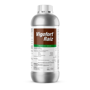 Vigofort Raíz