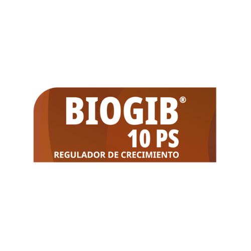 Biogib 10 PS