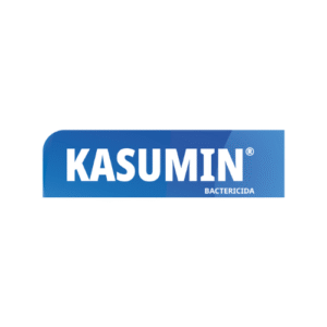 Kasumin