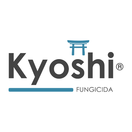 Kyoshi