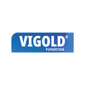 Vigold