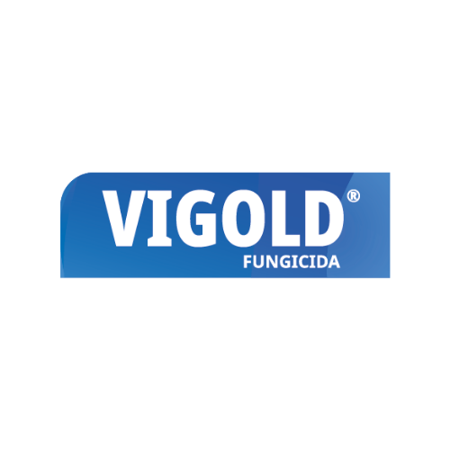 Vigold